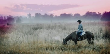 person riding horseback in a meadow
