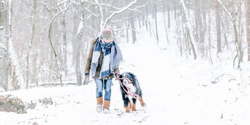 woman walking with her saint bernard dog in a snowy forest
